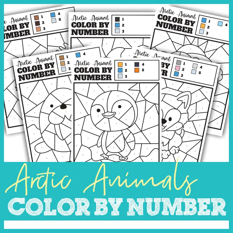 Arctic Animals Color by Number